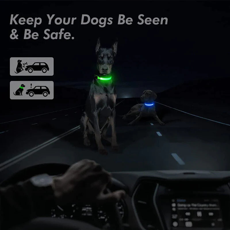 Waterproof LED Dog Collar – Adjustable Blinking Glow Light for Pet Safety and Night Visibility