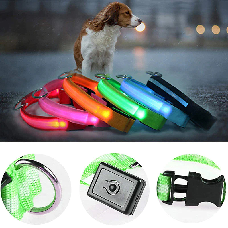 Waterproof LED Dog Collar – Adjustable Blinking Glow Light for Pet Safety and Night Visibility